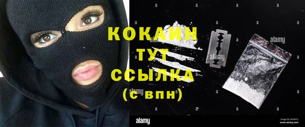 твердый Рославль