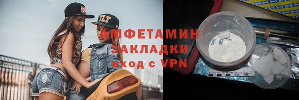 крисы Няндома