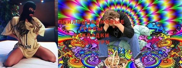 прущий лед Елабуга