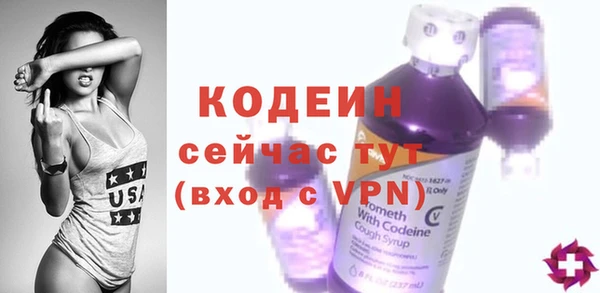 мет Елизово