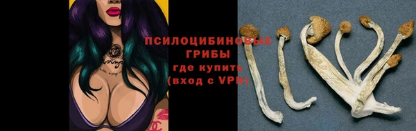 прущие крисы Ростов