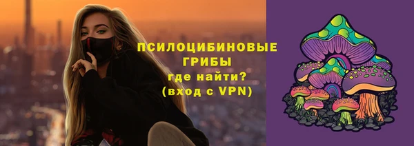 прущий лед Елабуга