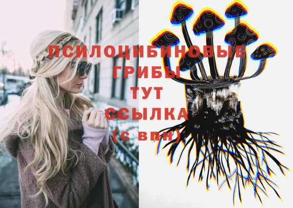 мет Елизово