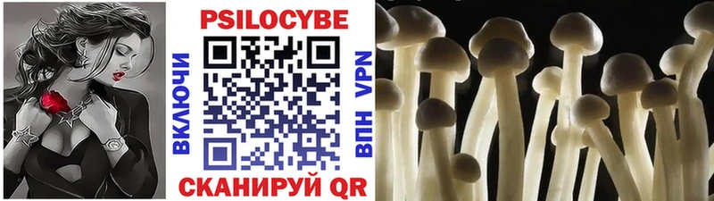 как найти закладки  Салехард  Галлюциногенные грибы Psilocybe 